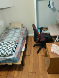 Two rooms available in basement near university