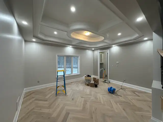 Professional painter available 7 days a week urgent start62863720611715121