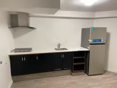 Basement apartment for one working professional