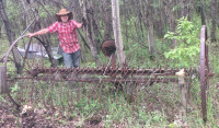 Old Horse Drawn Hay Rake. Missing wheels.