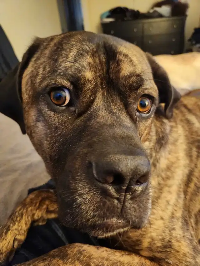 East Coast Flooring64519982163075120