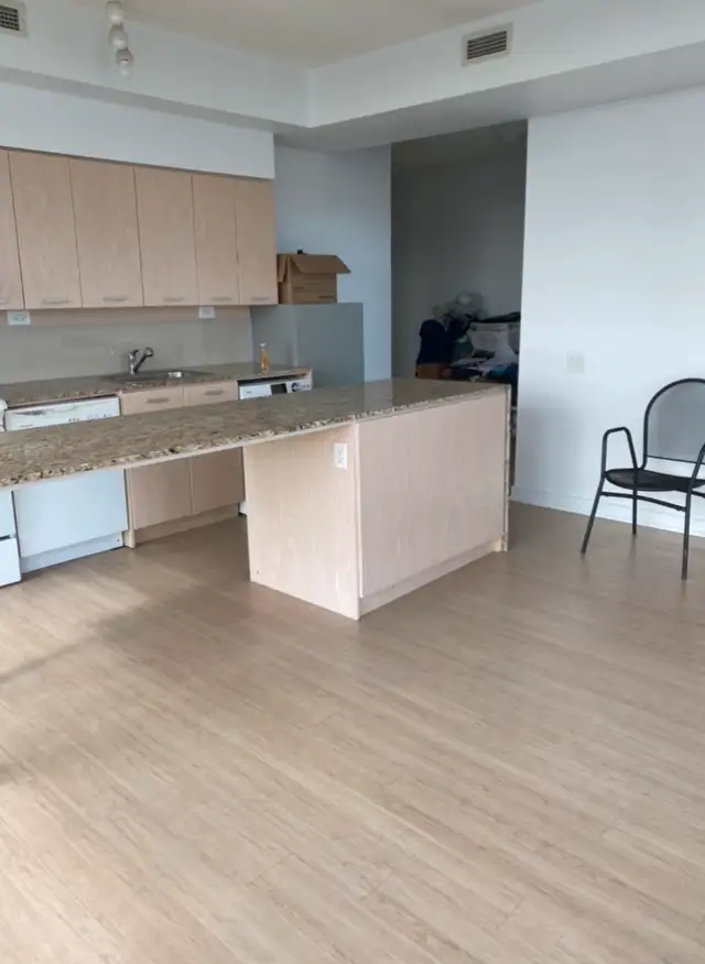 Cleaning Lady, 30/hr, 647567806763826837170435121