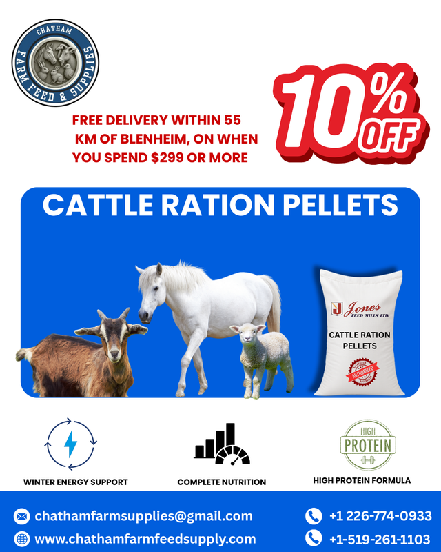 Cattle Ration Pellets – 25kg Non-GMO Beef Feed – $21 | Livestock ...