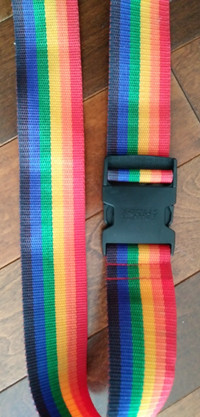 Travel Smart Multi Color Luggage Strap $10