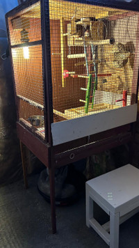 Finches + Homemade Cage