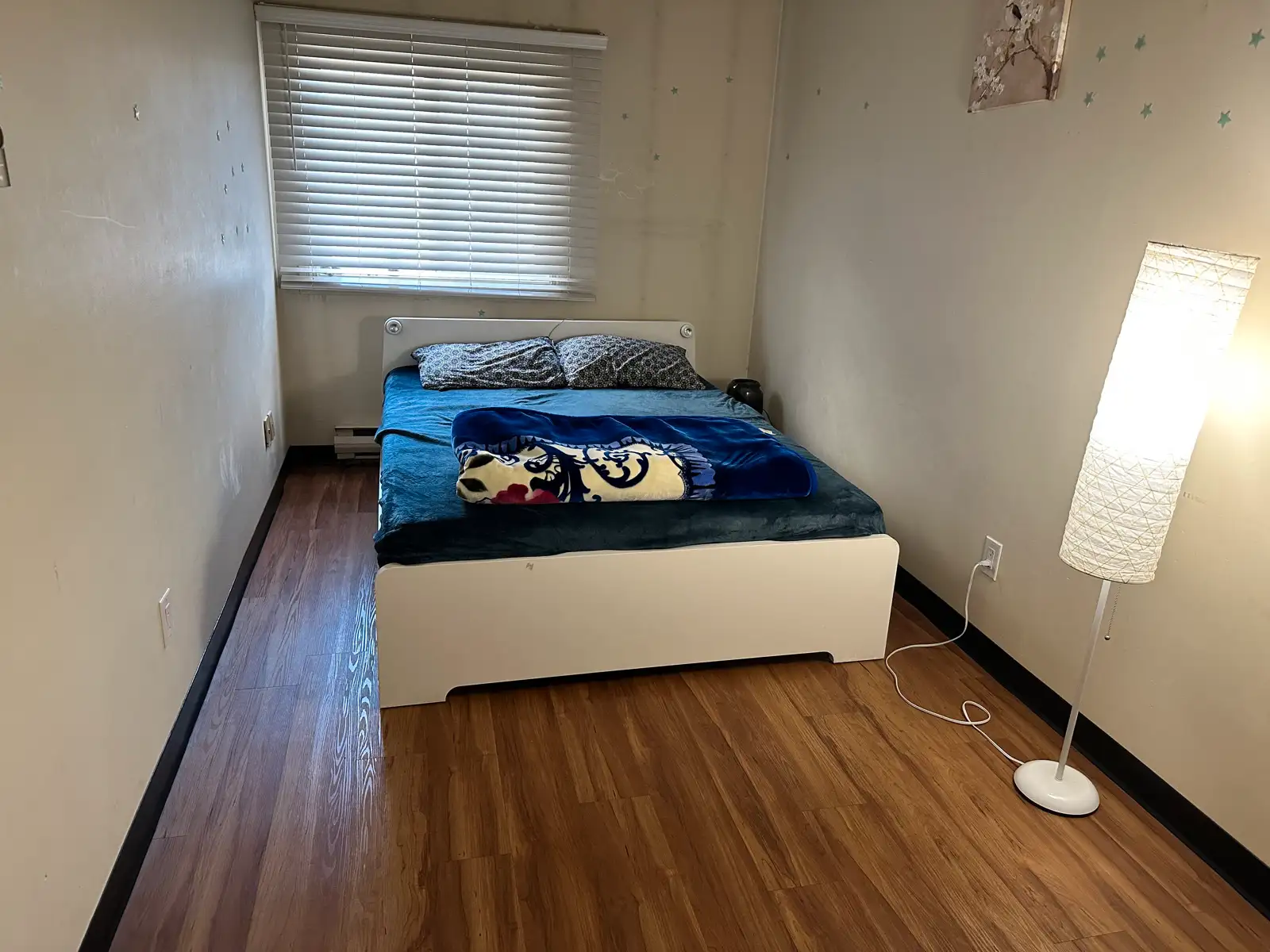pictures of the unit