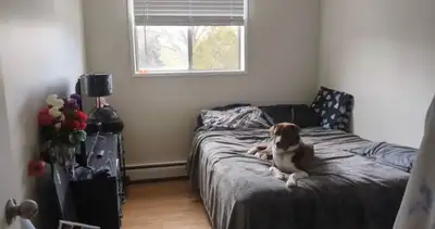 Pet Friendly Apartment - Individual room OR Full Lease Takeover