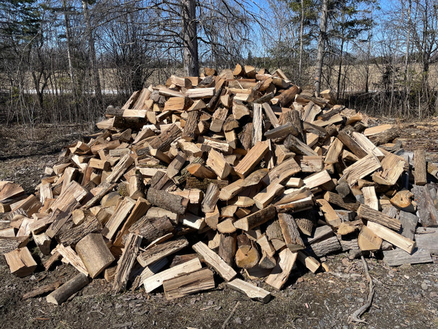 Firewood in Other in Ottawa