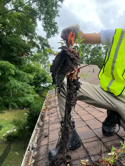 180$ GUTTER CLEAN SPECIAL!!, View more