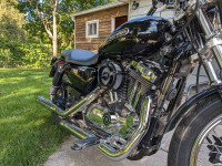 2008 Harley Davidson sportster XL 1200 -Possible Trade