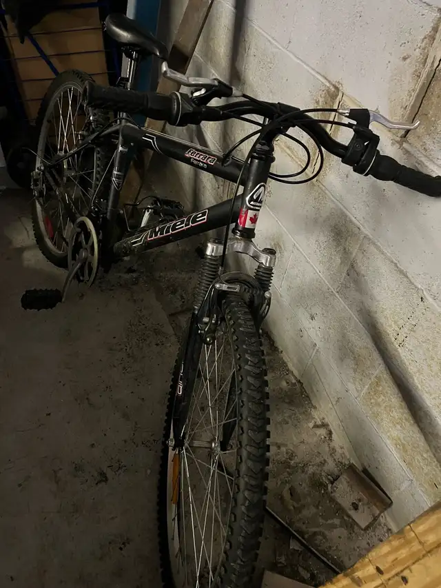 bicycle brand in Road in Markham / York Region - Image 5