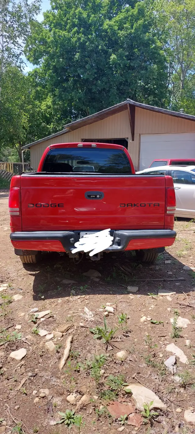 2004 Dodge Dakota596423590260910082