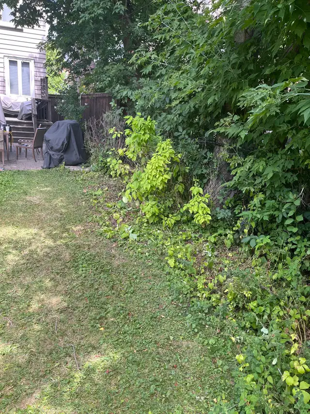 Landscaping and lawn care services GTA63005663687683121