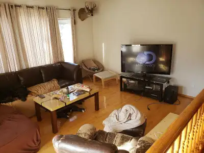 Big Basement room for Rent. 17' by 14'4". Less door swing zone. Has big walk in closet. Nice area in...