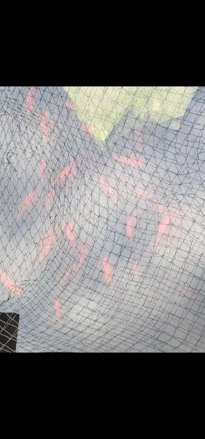 Pond  goldfish 3-5 inch, View more