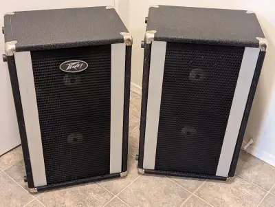 Peavey Stage Monitors Dual 10" Woofers 70 Watts 16 Ohms 1980's, View more