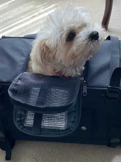 Take your dog ,or cat with you on your next adventure.This versatile ballistic nylon bag is specific...