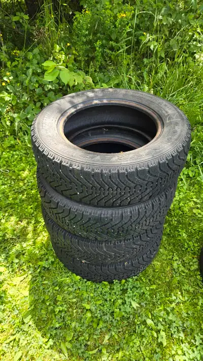 Goodyear Nordic set of 4, 195-65-r15