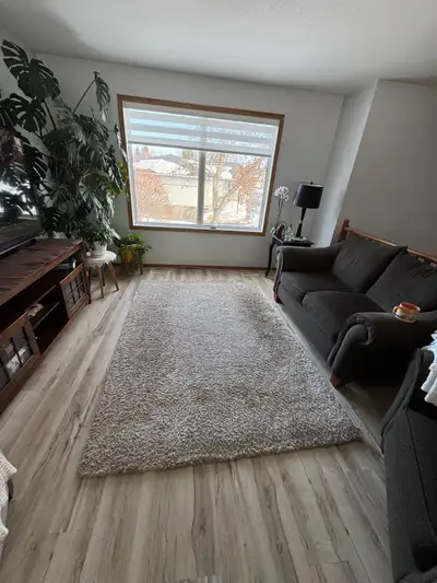 area rug, View more