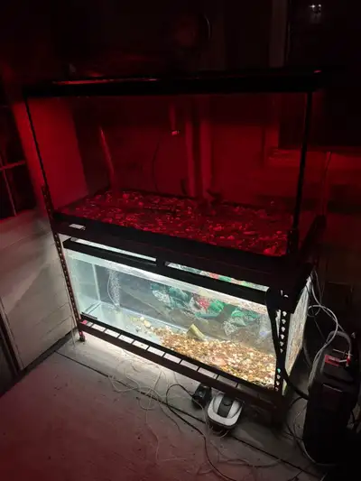 Two tank one of them 80 gallon and the other one 100 gallon. Including standing, filter, water heati...
