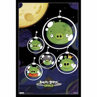 Angry Bird Space pigs Poster