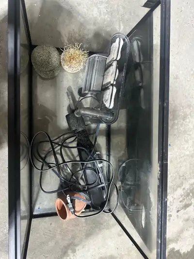 Heater, filter, decoration, all included. Plus 5 finshes ready to go, can offer free to go with this...