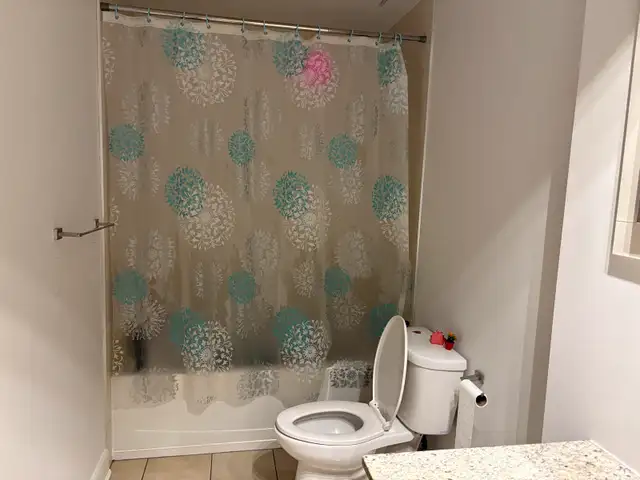 Lease transfer condo 1bed room 3 1/2 in Long Term Rentals in City of Montréal - Image 4