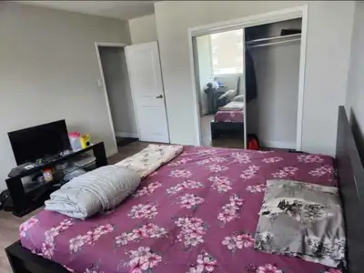 Well furnished a large Shared Bed room for 02 persons is available for rent in apartment. Rent: $450...