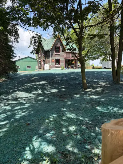  Hydroseeding and erosion control , View more