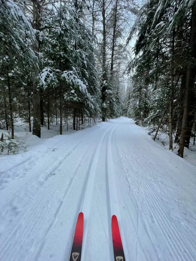Cottage for Christmas – 30 Minutes from Ottawа in Long Term Rentals in Gatineau - Image 7