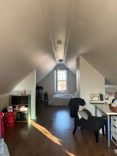3 bed large apartment downtown heat/lights/water included.