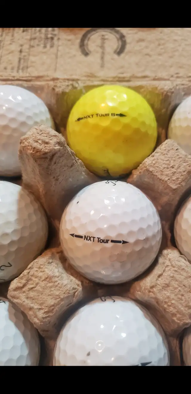 22 Titleist Golf balls-  16 Pro V1  ,  Velocity and NXT tour62863259231491124