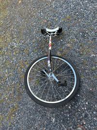 Unicycle