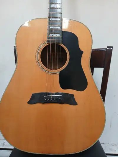 Morris MG-50 Vintage Japan Acoustic Guitar 70's In very good condition, valued among guitar collecto...