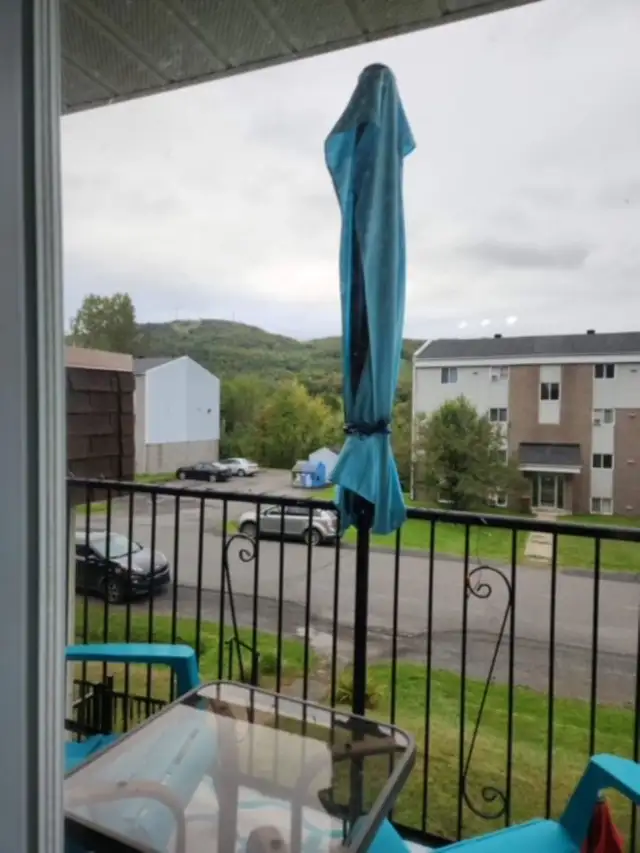 Loge 51/2 41/2 31/2 Bromont remise et stationnement privé inclus in Long Term Rentals in Granby - Image 6