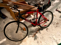 Mountain Bike Bicycle - 24"