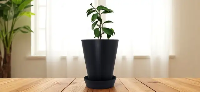 Flower pot with saucer62863279951875121