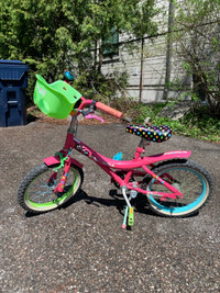 Girls “Little Misfits” Bicycle 