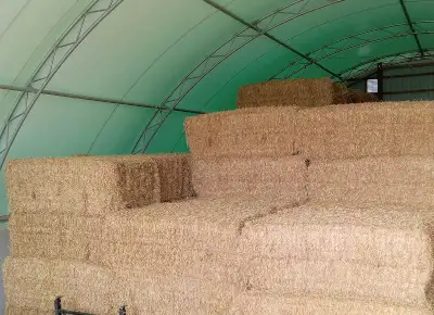 2025 Wheat Straw, View more