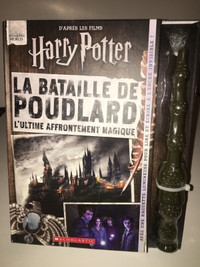 French Harry Potter book with Wand