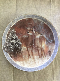 Collectors plate 