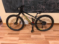 Rocky Mountain vertex Jr 24 kids bike