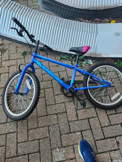 2 Bikes for sale ,Supercycle 20 inch,blue,and Radiate16 inch,bot, View more
