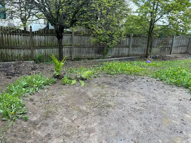 FREE ESTIMATES Landscaping & Yard Makeovers! 63417618715777121