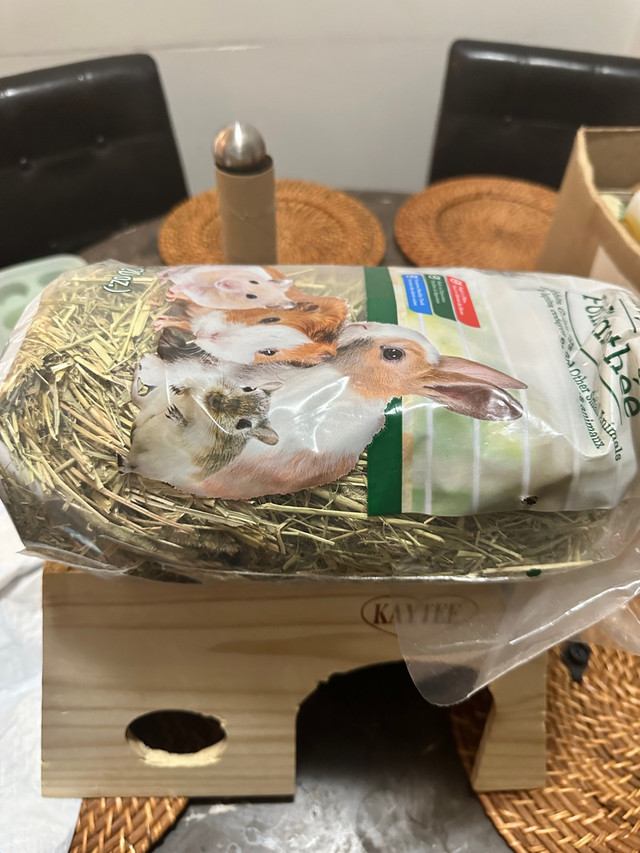 Guinea pig supplies free in Free Stuff in Burnaby/New Westminster - Image 2
