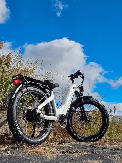 Kijiji fat bike best sale