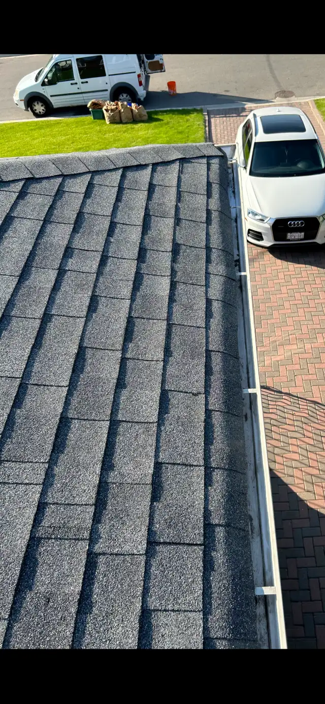 $100 starting Gutter Cleaning & Roof Repairs62863227479298121