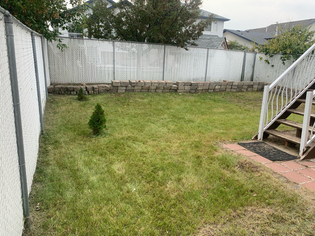 Spring Cleanup, lawn care, landscaping, mowing.   in Lawn, Tree Maintenance & Eavestrough in Edmonton