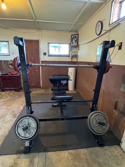 weight bench and weights, View more
