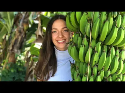 BANANA WHOLESALE SUPPLIER ORGANIC BANANAS 100% ORGANIC BANANAS, View more